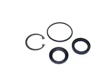 For 1999-2006 Ford E350 Super Duty Steering Gear Pitman Shaft Seal Kit 89522BP (for: Ford)