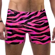 [VBFOFBV] Men's Printed Jammer Swimsuit Swim Shorts, Abstract Art Spring Bird Flower