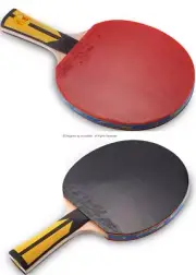 For Serious Player, Pick1: Double Fish DHS Ping Pong Racket Table Tennis Paddle