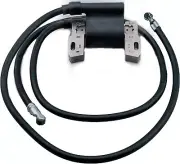 IGNITION COIL Fit Briggs & Stratton 394891 392329 590781 42A707 42A777 16-18 HP