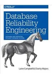 oreilly Database Reliability Engineering Paperback