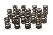 Fits For Chevrolet Performance Parts 19154761 1 250 Valve Springs Sbc