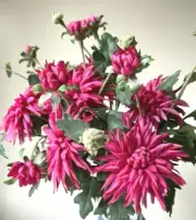 ARTIFICIAL SILK FLOWER STEM PINK CHRYSANTHEMUM RUSTIC GARDEN FLOWER STEMS FAKE