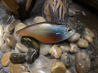 Custom painted lipless crankbait bass