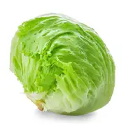 Lettuce - Cool Guard seeds