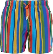 [Gallo] Men's Blue Swimming Shorts with Multicoloured Stripes, Blue, Large