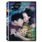 台聖出品 – 黃金花 DVD – 由毛舜筠、呂良偉、劉美君、冼色麗主演 – 全新正版