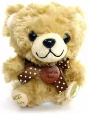 ChouttieBear Mane And Talking Stuffed Bear Cookies