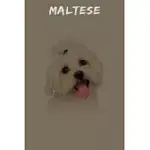 MALTESE: 120 PAGE UNLINED (6 X 9 INCHES) MALTESE NOTEBOOK WITH MORE MALTESES INSIDE!
