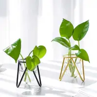 在飛比找momo購物網優惠-【沐森 Green Life】簡約型 三角金屬花架 含水培杯