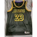 LEBRON JAMES 湖人 LAKERS CITY SW 蛇紋城市 成人版 城市版 L號 全新含吊牌  $3680