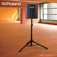 在飛比找露天拍賣優惠-Roland羅蘭 BA-330多功能木吉他音箱電箱琴鍵盤樂器