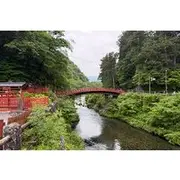 Save 20.00%! Nikko Private Tour from Tokyo with English-Speaking Driver