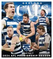 Geelong Cats team POSTER,LAMINATED, AFL FOOTBALL, Premiers 2