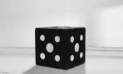 Wildcrete Square Butt 3D Foam Target