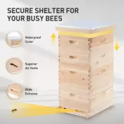 Full Set 40 Frames Beehive Flat Pack Wooden Honey Beekeeping Brood Box House