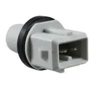 Parking Light Bulb Socket WVE 1P2432