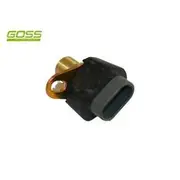 RAE Crankshaft Position Sensor - SC518