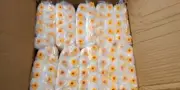 (100 PACK) Dynamic 21249 4" X 1/2" (100MM X 10MM) YELLOW STRIPE MINI ROLLER