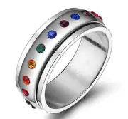 Stainless Steel 316L Silver Polished Spinner Rainbow Ring and Band 8mm
