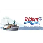 [樂農農] 免運費 TRIDENT 阿拉斯加魚精 鮭魚蛋白肥料  登記於5-15 美國OMRI有機驗證 魚精