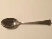 Lenox Kelly Flatware 9” Tablespoon only Brand New with tags 18/8 stainless steel
