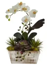 Nearly Natural Artificial Orchid and Succulent Garden With White Wash Planter