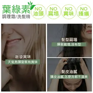 Maafei瑪菲葉綠素調理洗髮精/護髮乳 500ml/瓶 專業沙龍使用 洗髮精