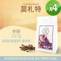 在飛比找momo購物網優惠-【Verytime 啡茶時刻】音樂家系列 莫札特 精品咖啡豆