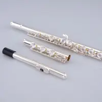 在飛比找露天拍賣優惠-笛子958純銀長笛樂器正品通用17開孔B尾 專業考級演奏兩用
