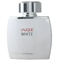 在飛比找蝦皮購物優惠-Lalique White Homme 白光時尚男性淡香水 