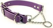 Adjustable Waterproof Martingale Half-Check Stainless Steel Chain Training Dog Collar (XL: 22"-26", Purple)