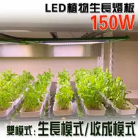 在飛比找ETMall東森購物網優惠-君沛 燈板系列 150瓦 吊掛式 植物燈 雙色光譜 植物成長