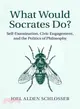 What Would Socrates Do? ― Democracy and the Strangeness of Philosophy