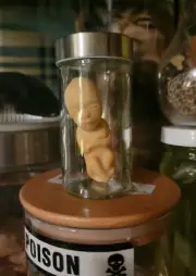 Jarred Fetus Specimen (Rubber Medical Oddity)