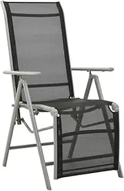 Garden Chair Reclining Garden Chair Textilene and Aluminium Silver Patio Seating