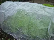 Agfabric Garden Netting Bug Mosquito Barrier Insect Screen Mesh Net, 5ftx 100ft