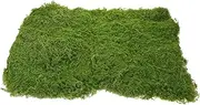 BESPORTBLE Artificial Moss Artificial Turf Sand Table Model Decoration Sand Table Cuttable Turf Fake Grass Mat Turf for Sand Table Turf Dollhouse Fairy Garden Kit DIY Grass Lawn Green Plastic