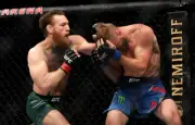 Conor McGregor punches Donald Cerrone at UFC 246 , 2020 12x8 Photo