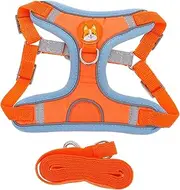 Gatuida Outdoor Puppy Harness with Leash Reflective and Wear Resistant Dog Vest for Small Dogs Comfortable Fit for Walks and Pet Safety
