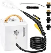 2600W Handheld Steam Cleaner, 1000ml High Pressure Steamer with 2 Brushes, 6 Adjustable Steam Levels, Portable Steam Cleaning Machine, for Car/Kitchen/Furniture/Tile