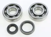 Pro X Crankshaft Bearing and Seal Kit 23.CBS32089