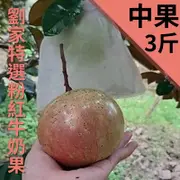 劉家特選粉紅牛奶果(中果)(3台斤)