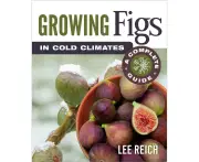 Growing Figs in Cold Climates