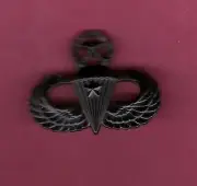 Master Airborne or Parachutist Combat subdued 1st Jump Award Badge