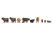 Noch 15728 Ho Scale Mountain Cattle