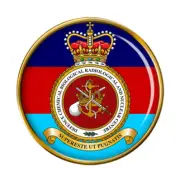 Defence Chemical biological radiological & Nuclear Centre, UK Pin Badge