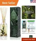 Eco-Friendly Reed Diffuser Set - Balsam Forest Scent, Long-Lasting 3.75oz