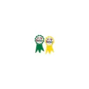 Teacher Created Resources Birthday Ribbons Wear 'Em Badges Pack of 16 (TCR4851)