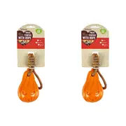 2x Rosewood Treat Pumpkin w/ Rope Pet Dog Interactive Fetch Fun Play Toy Orange